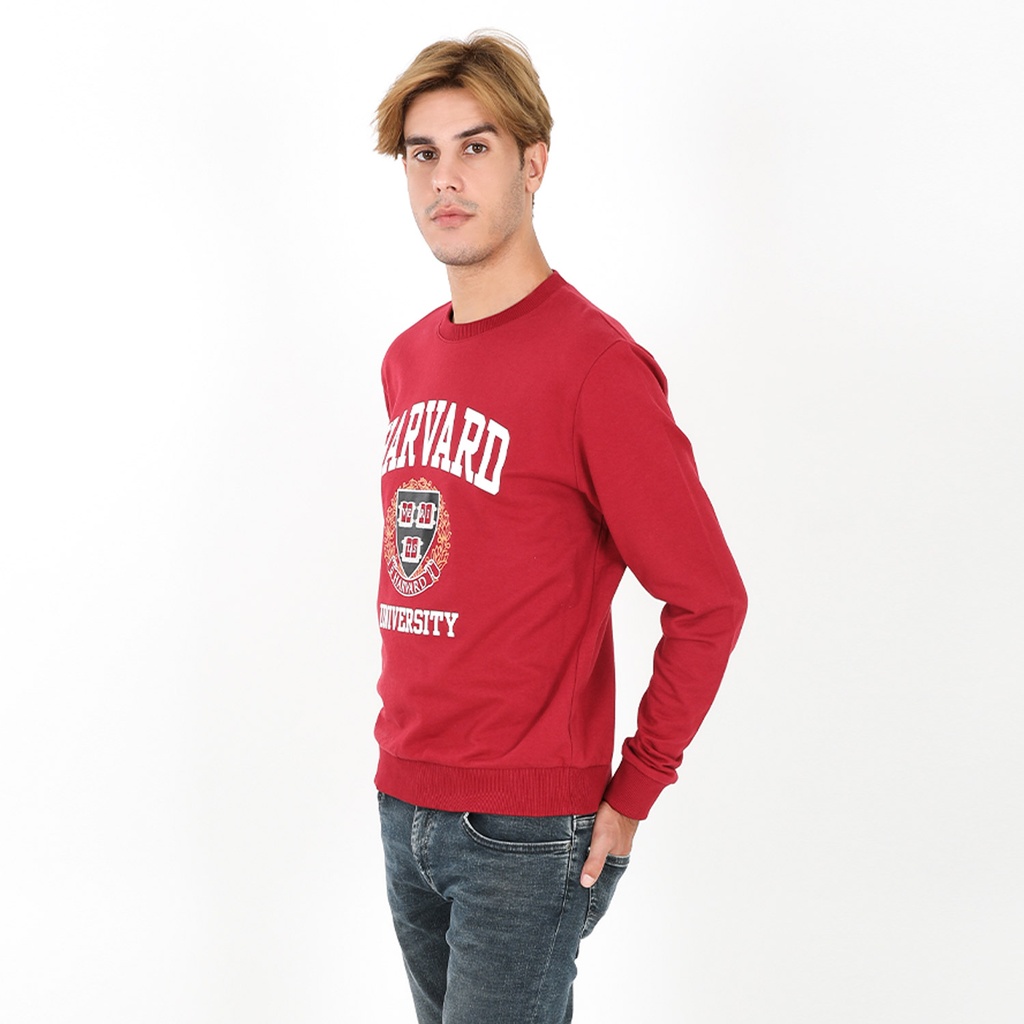 Sweat homme HARVARD Kontakt